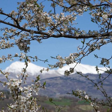 La Genevraie Villa Gap Kültér fotó